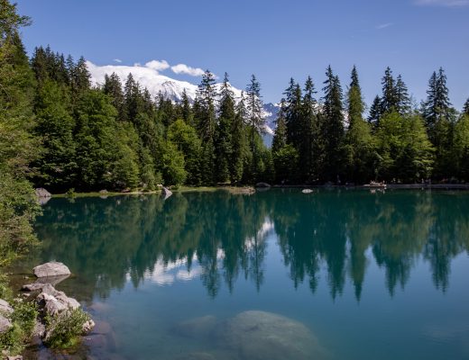 Lac vert Passy - www.paperboat.fr