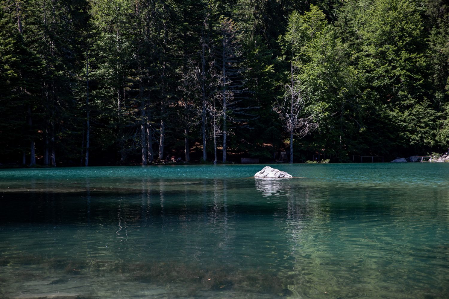 Lac vert Passy - www.paperboat.fr