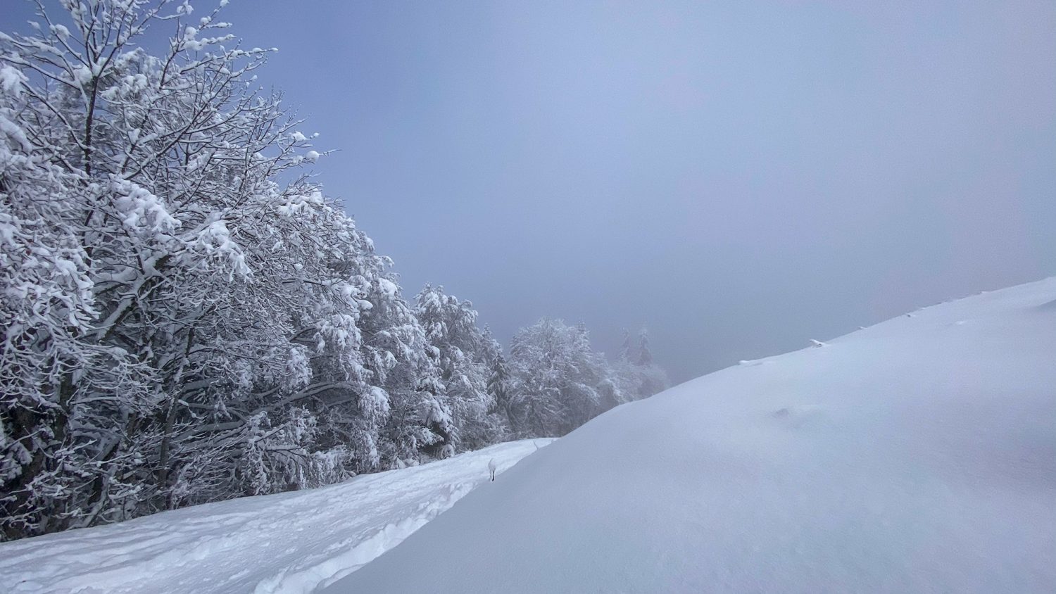 Montagne de Sulens - Raquettes en Hiver - www.paperboat.fr