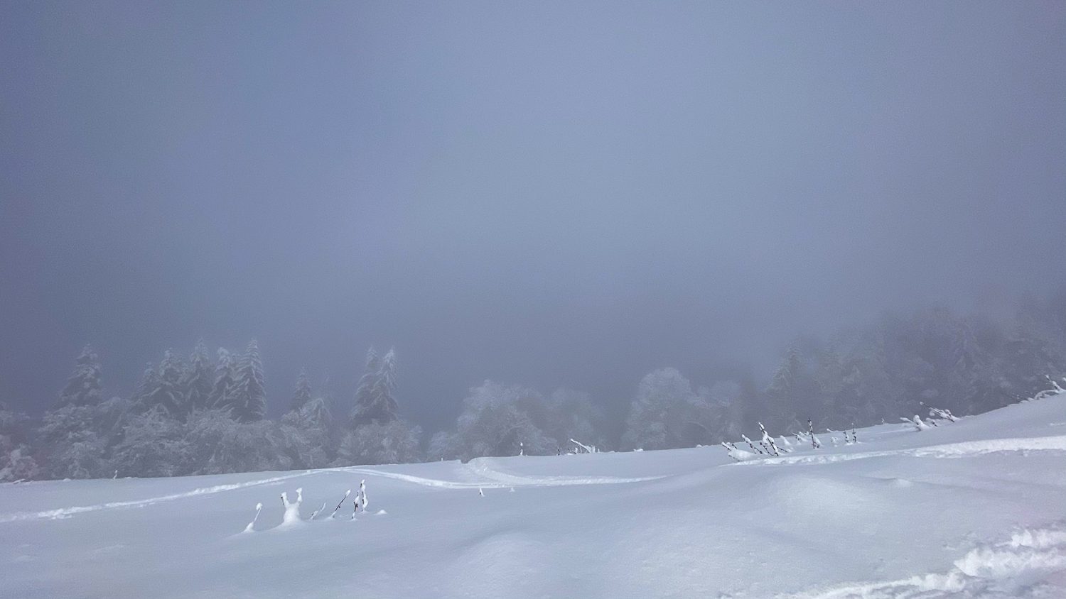 Montagne de Sulens - Raquettes en Hiver - www.paperboat.fr