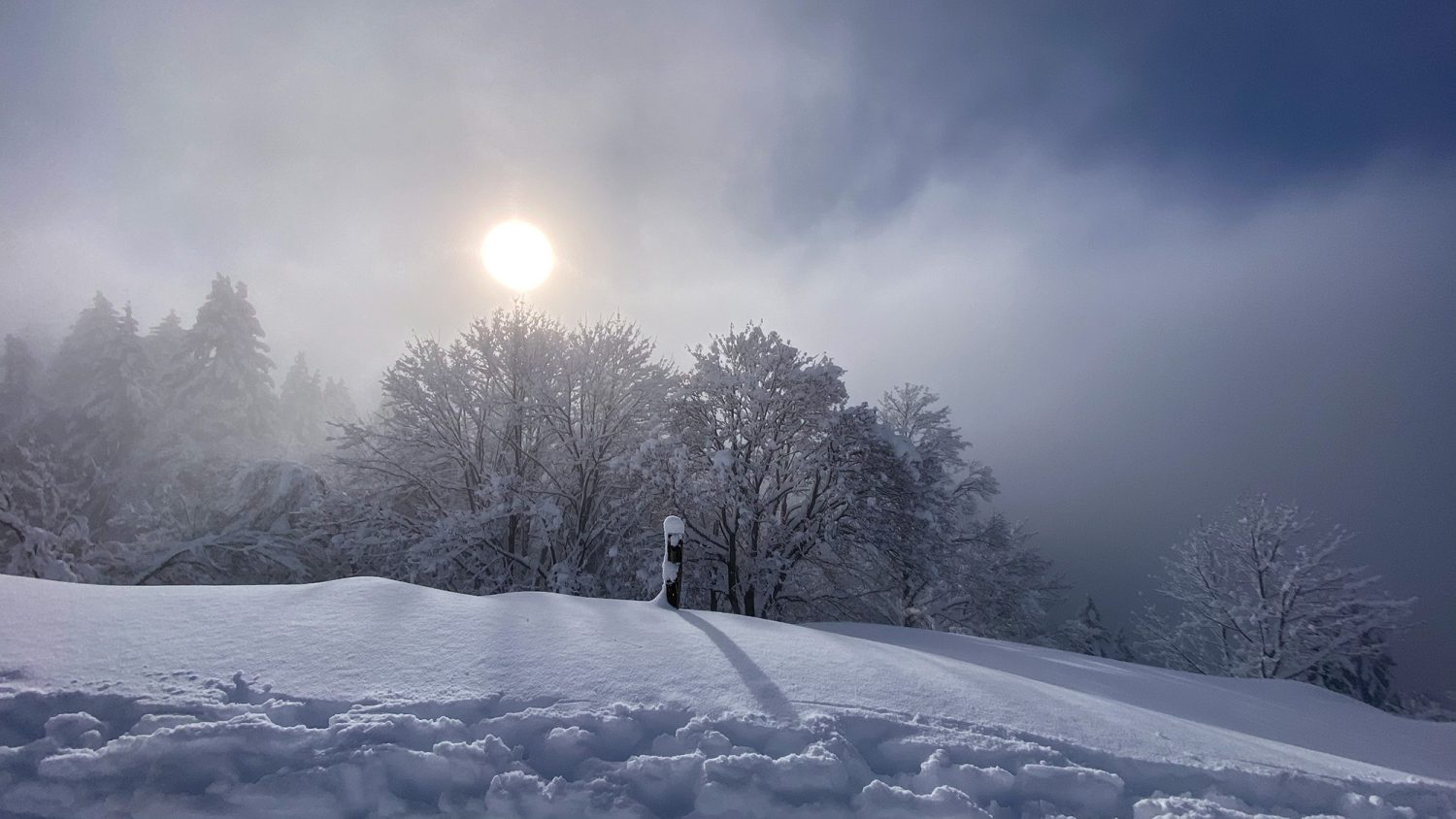 Montagne de Sulens - Raquettes en Hiver - www.paperboat.fr