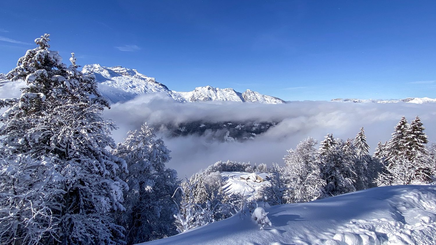 Montagne de Sulens - Raquettes en Hiver - www.paperboat.fr