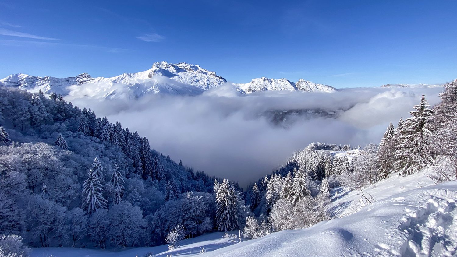 Montagne de Sulens - Raquettes en Hiver - www.paperboat.fr
