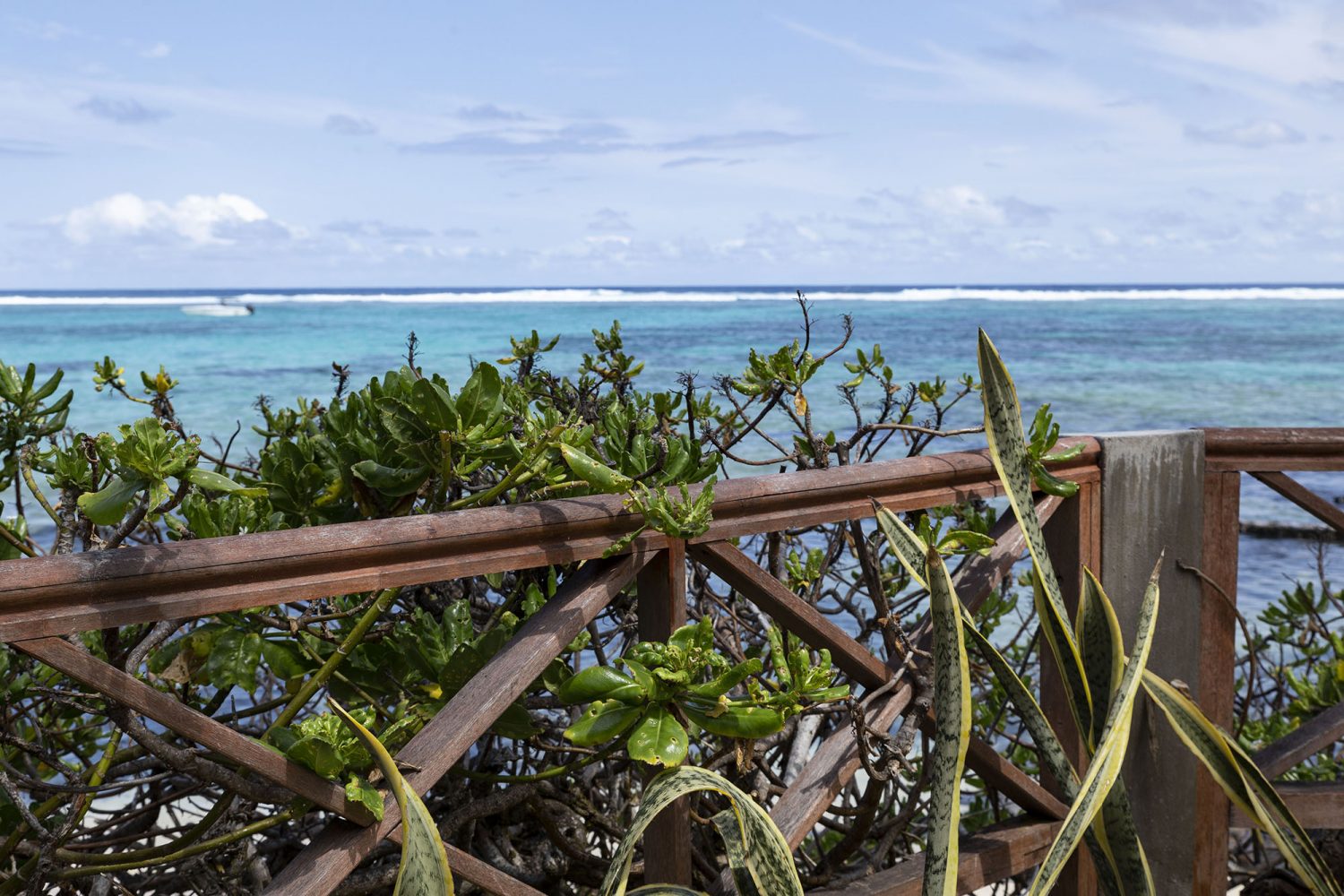 Pointe d'Esny - Ile Maurice - www.paperboat.fr