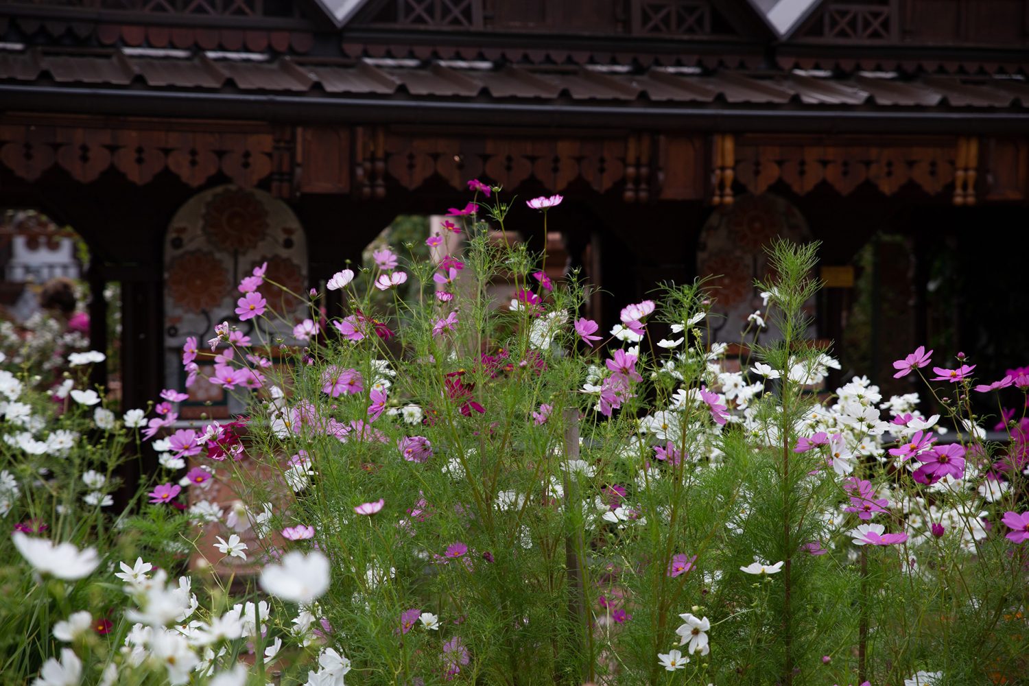 Les Jardins secrets - Vaulx - www.paperboat.fr