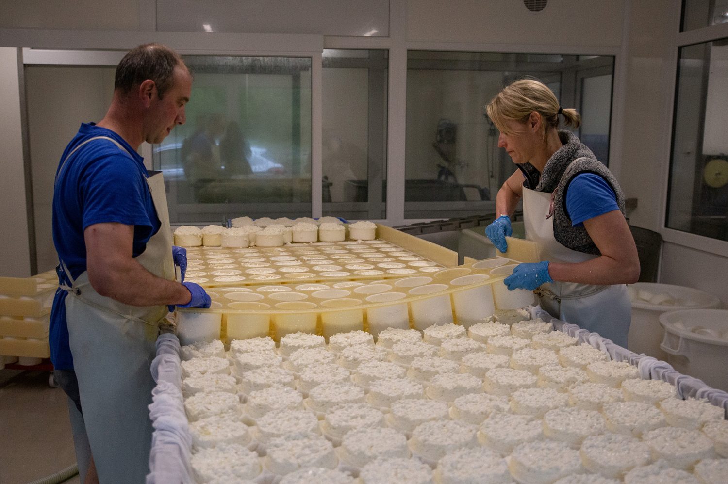 Production Reblochon Fermier - Gaec EFR l'Aulp Montmin - www.paperboat.fr