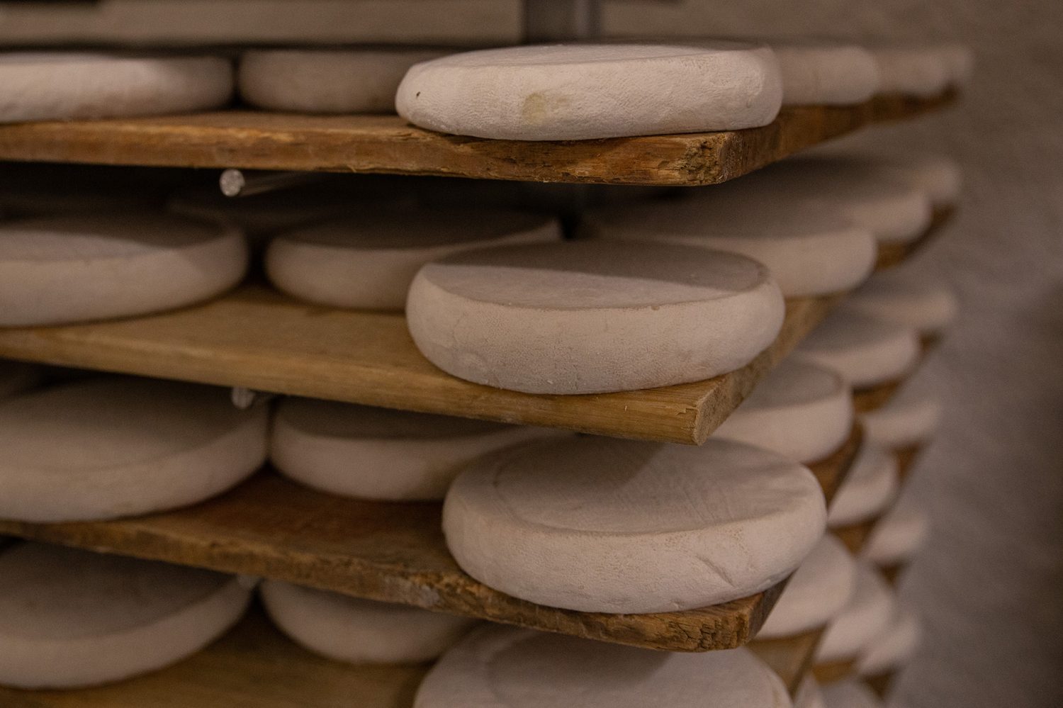 Production Reblochon Fermier - Gaec EFR l'Aulp Montmin - www.paperboat.fr