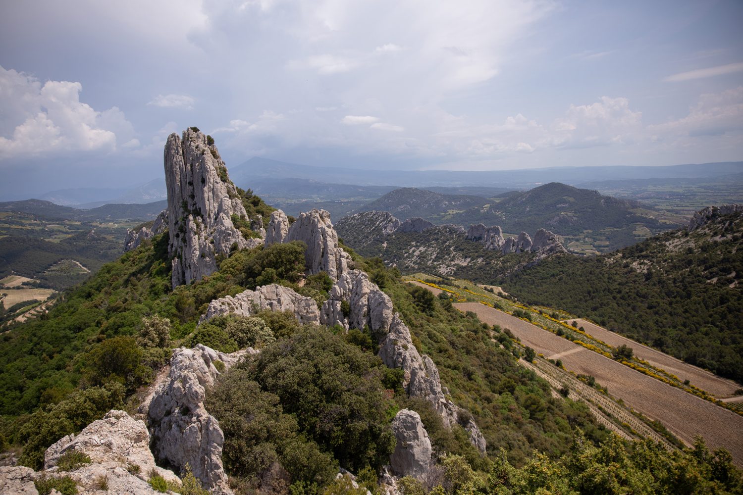 Dentelles de Montmirail - France - www.paperboat.fr