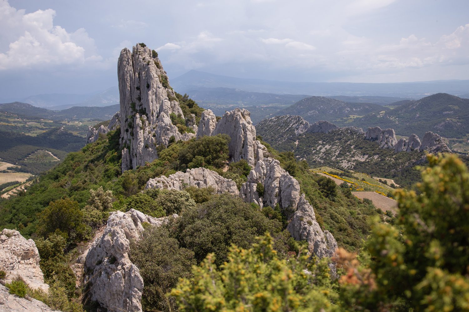 Dentelles de Montmirail - France - www.paperboat.fr