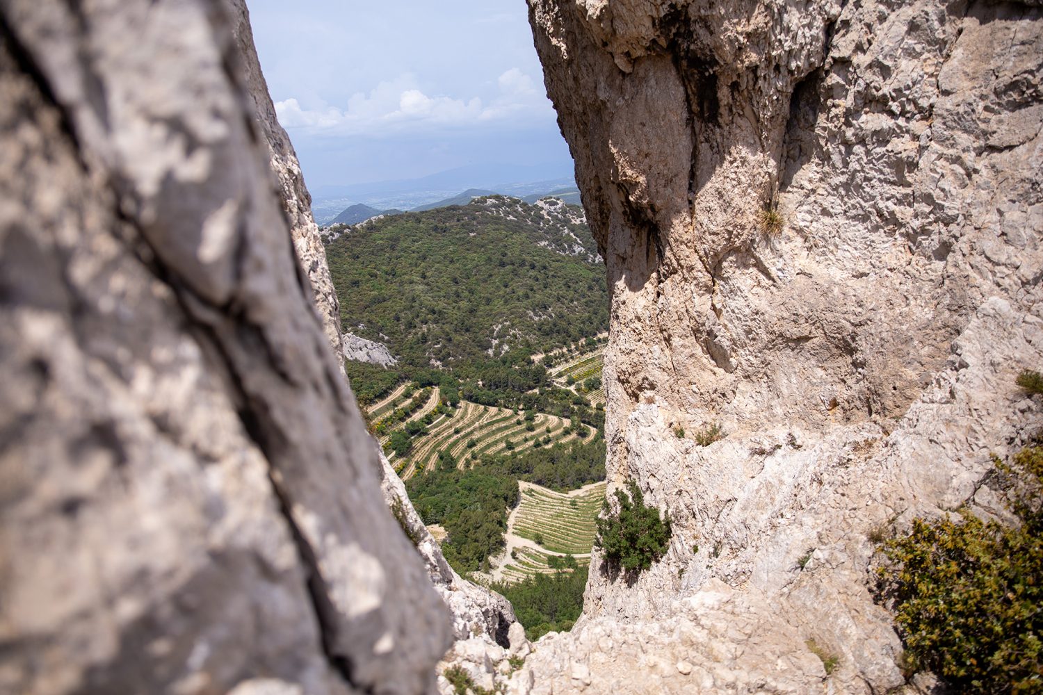 Dentelles de Montmirail - France - www.paperboat.fr