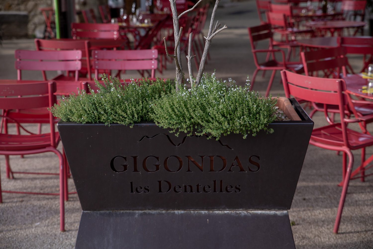 Gigondas - France - www.paperboat.fr