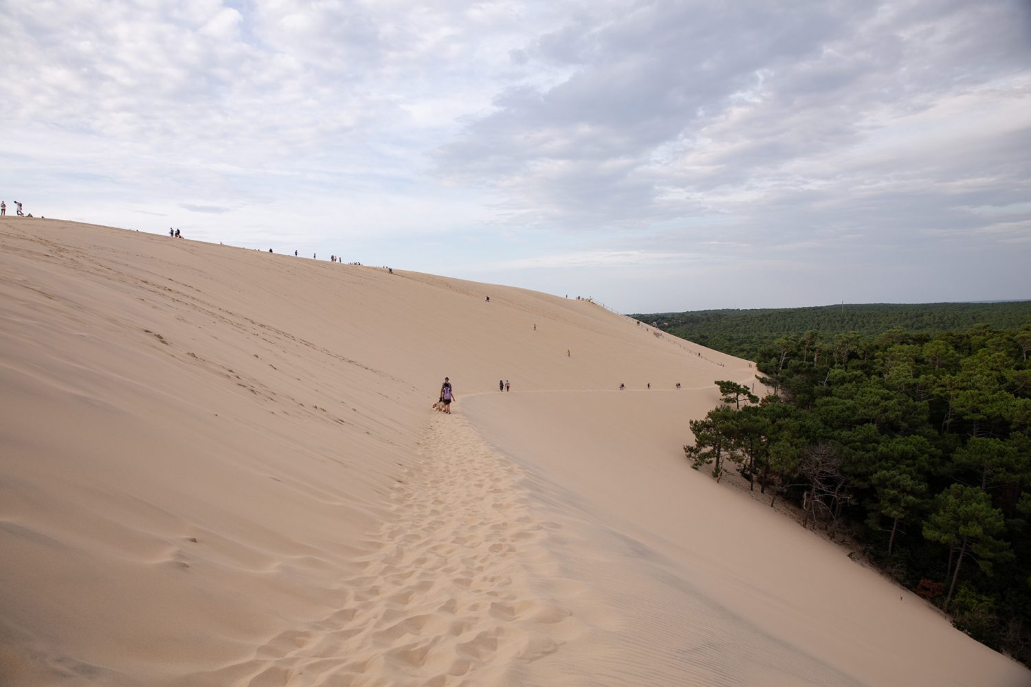 Dune du Pilat - France - www.an-so.fr