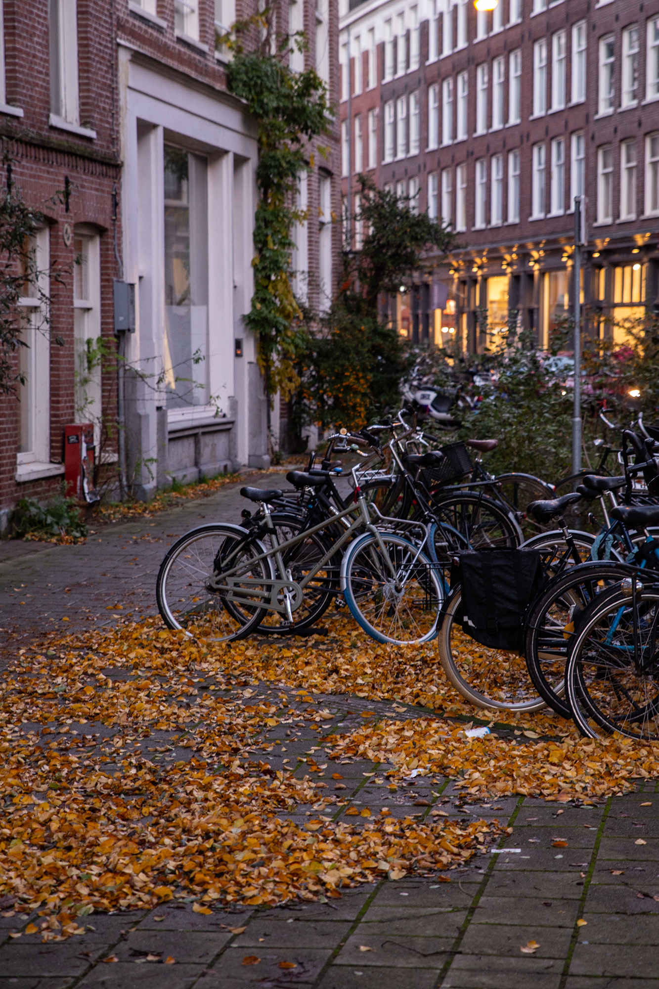 Week-end à Amsterdam - www.paperboat.fr