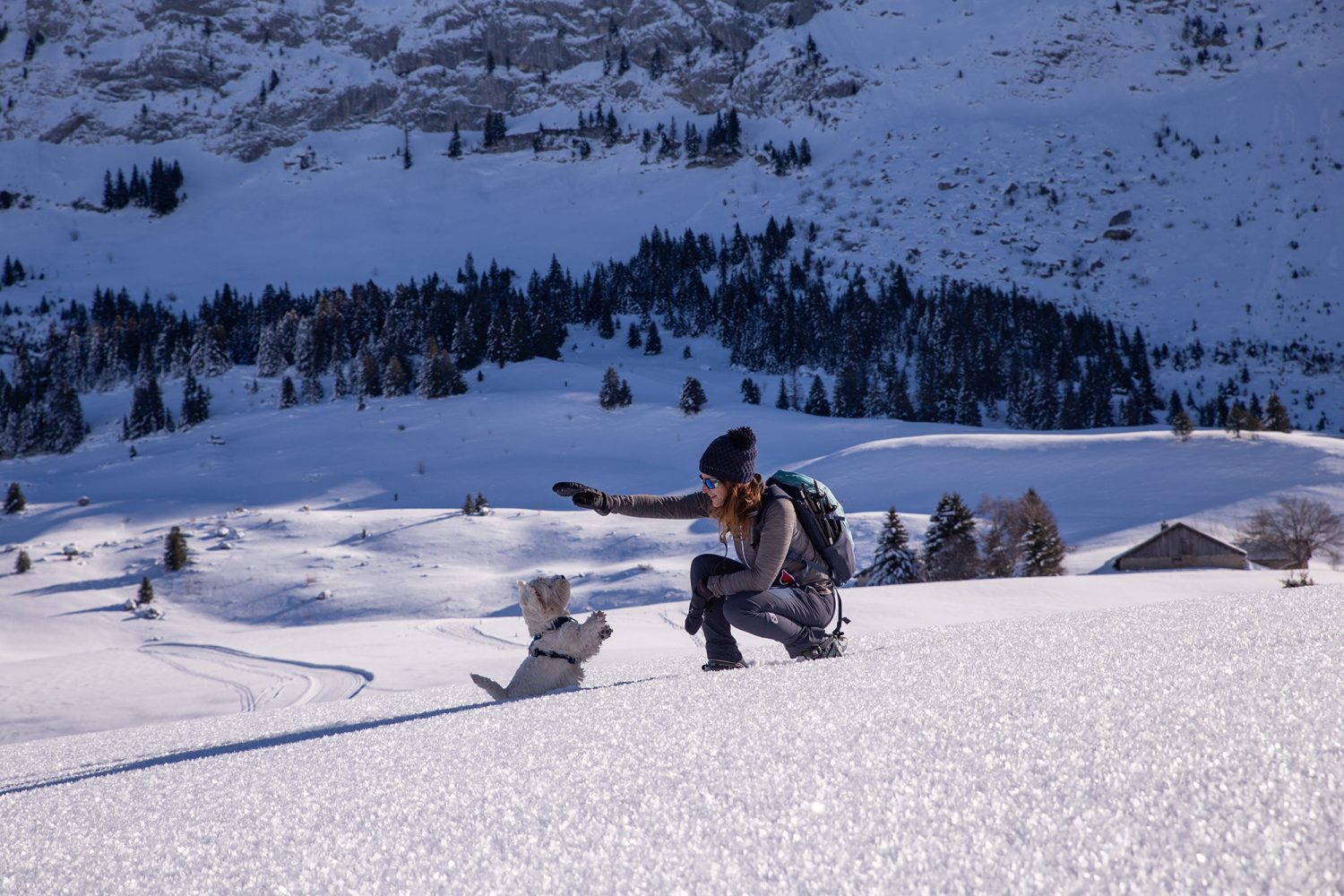 Randonnée raquettes plateau des glières - www.paperboat.fr
