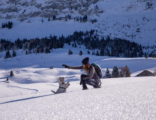 Randonnée raquettes plateau des glières - www.paperboat.fr