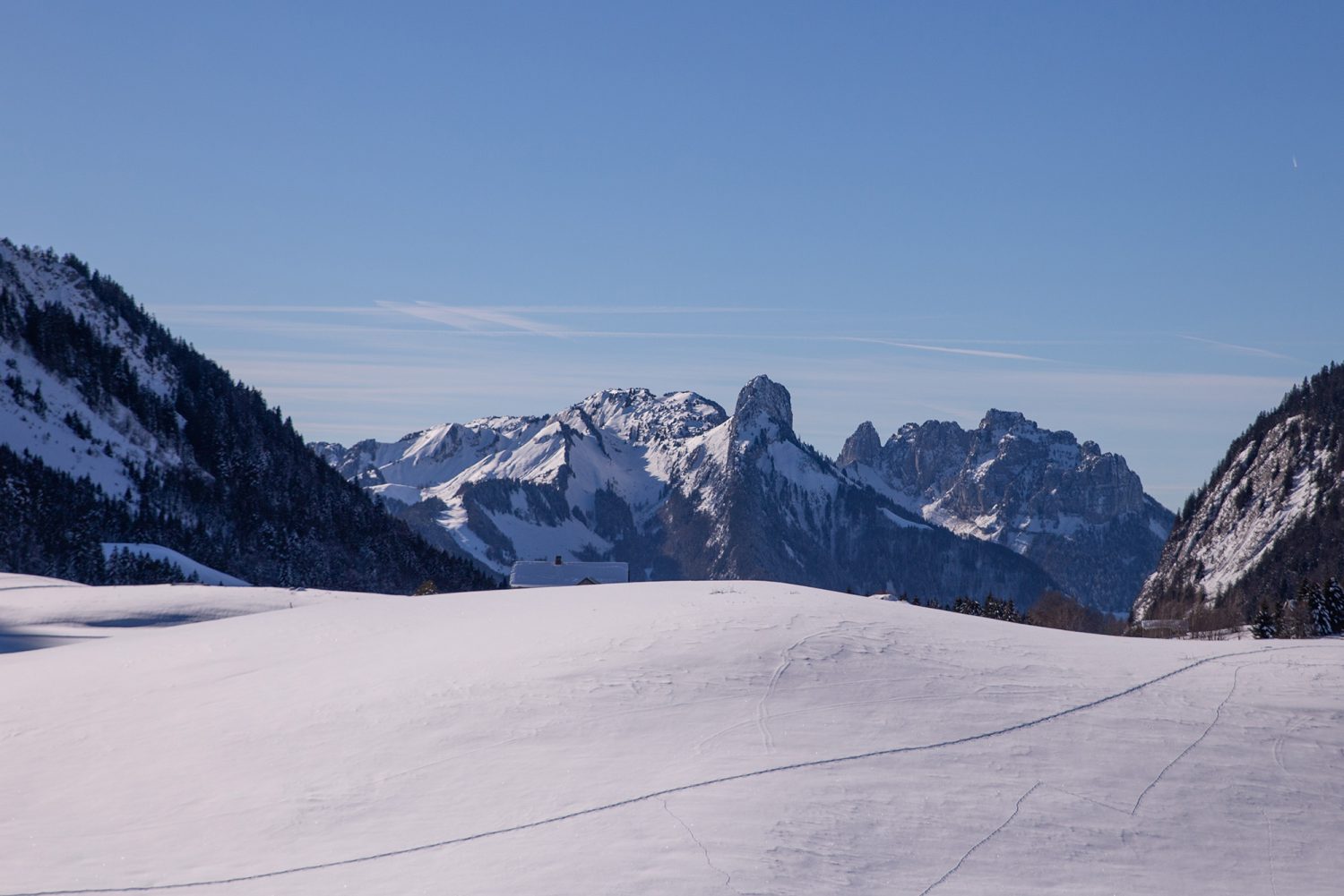 Randonnée raquettes plateau des glières - www.paperboat.fr