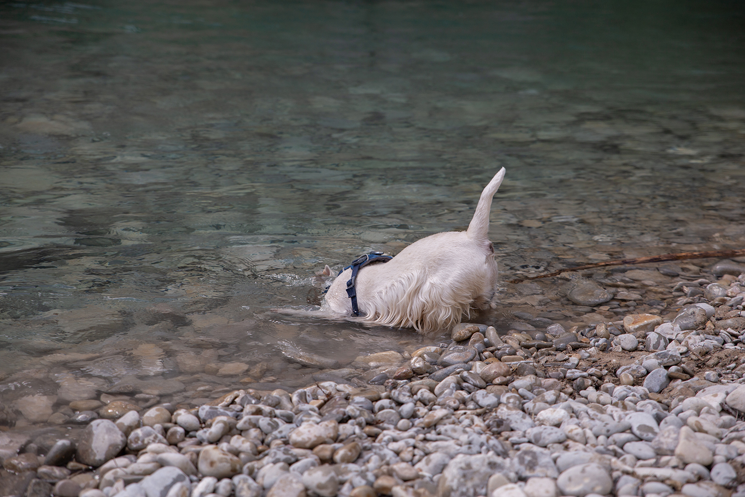 Buis les baronnies - Week-end escalade - paperboat.fr