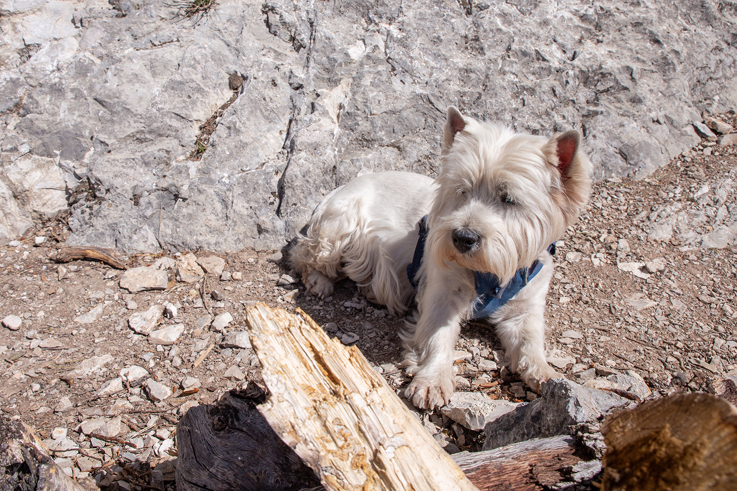 Buis les baronnies - Week-end escalade - paperboat.fr