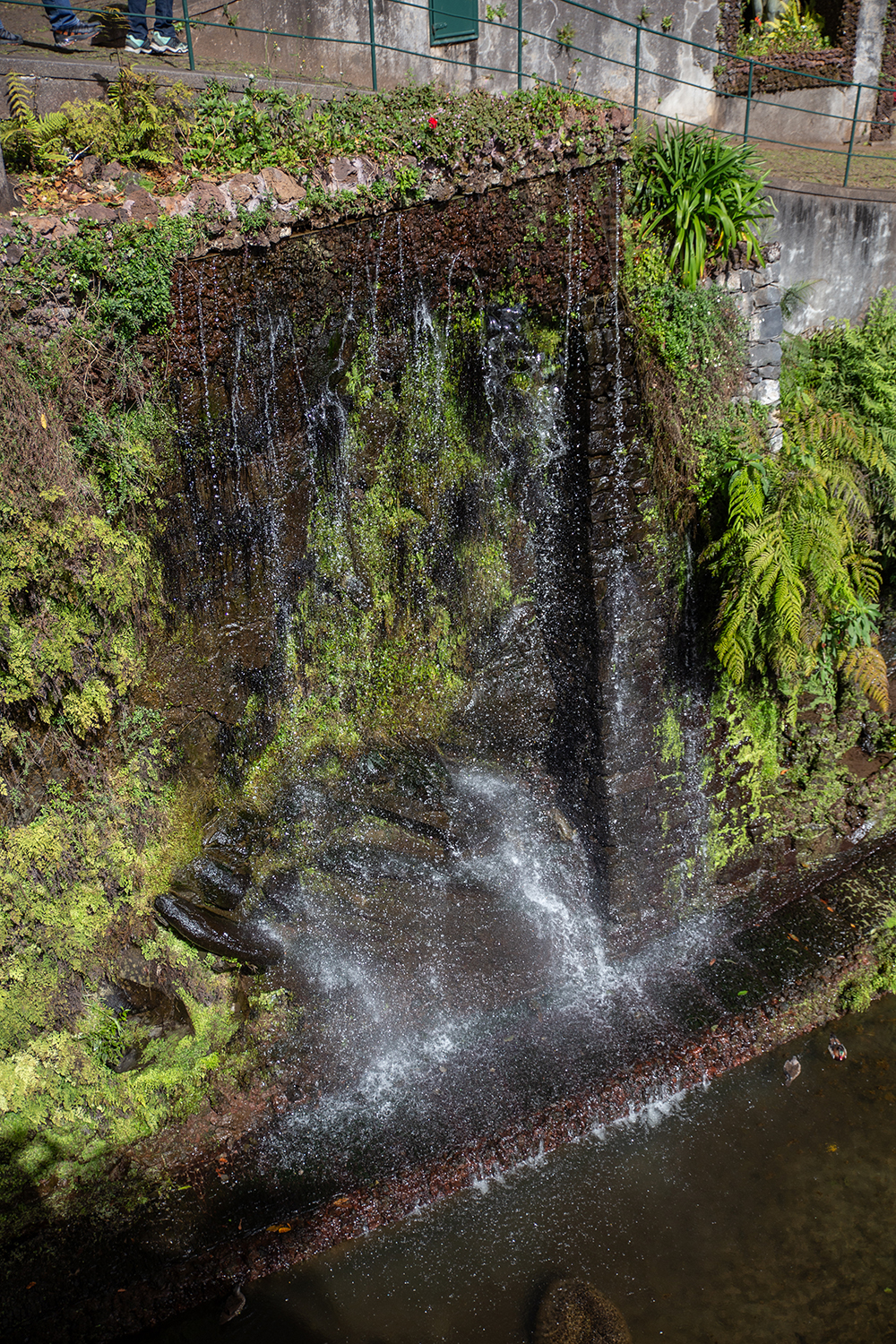 Madeira - Monte Palace Tropical Garden - paperboat.fr