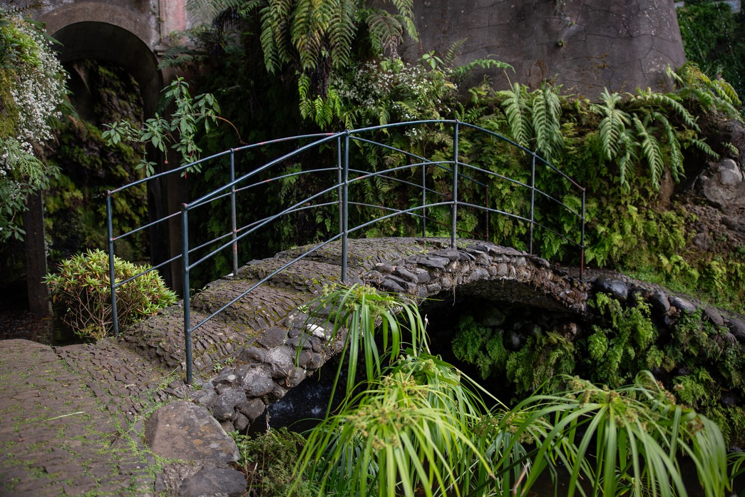 Madeira - Monte Palace Tropical Garden - paperboat.fr