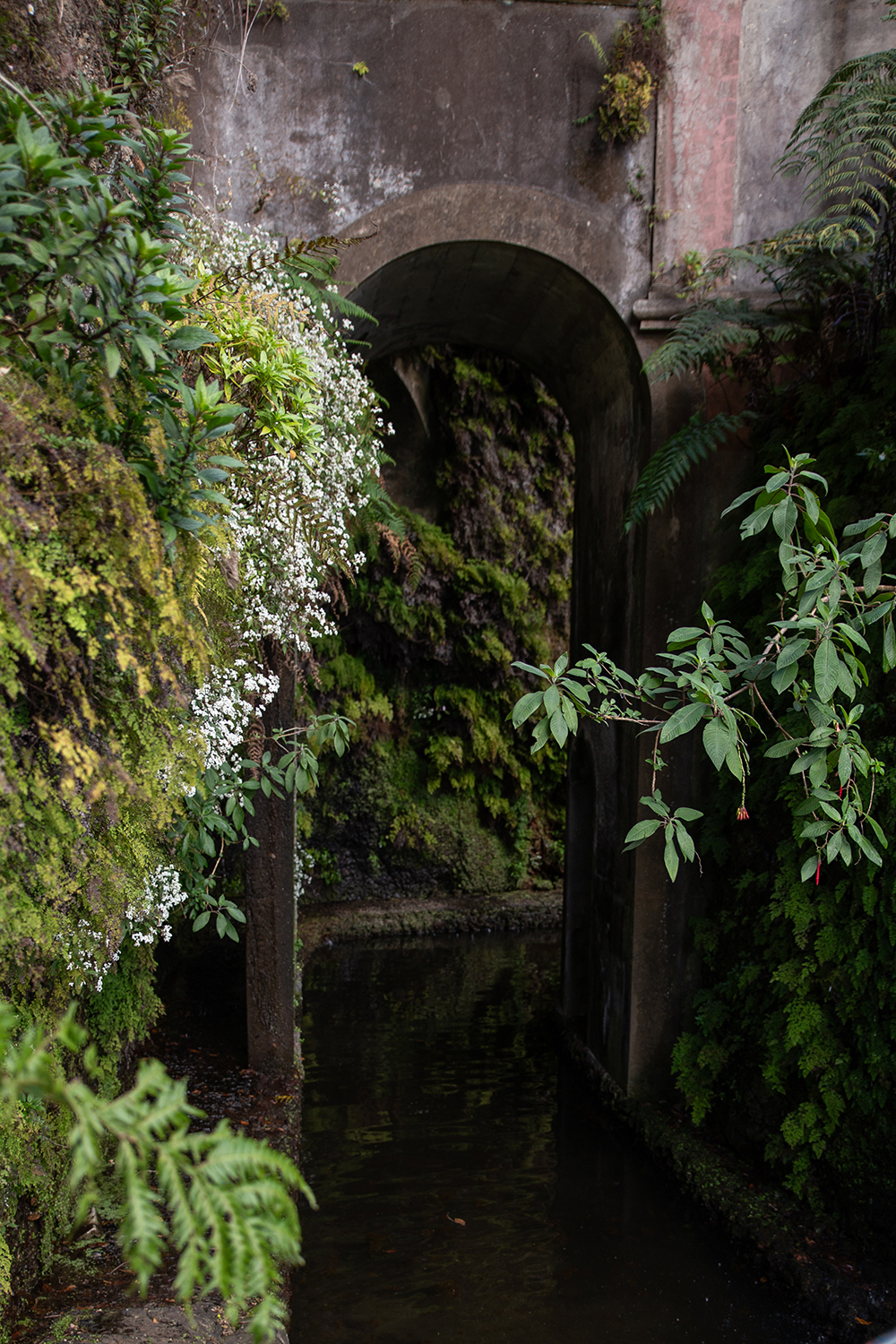 Madeira - Monte Palace Tropical Garden - paperboat.fr