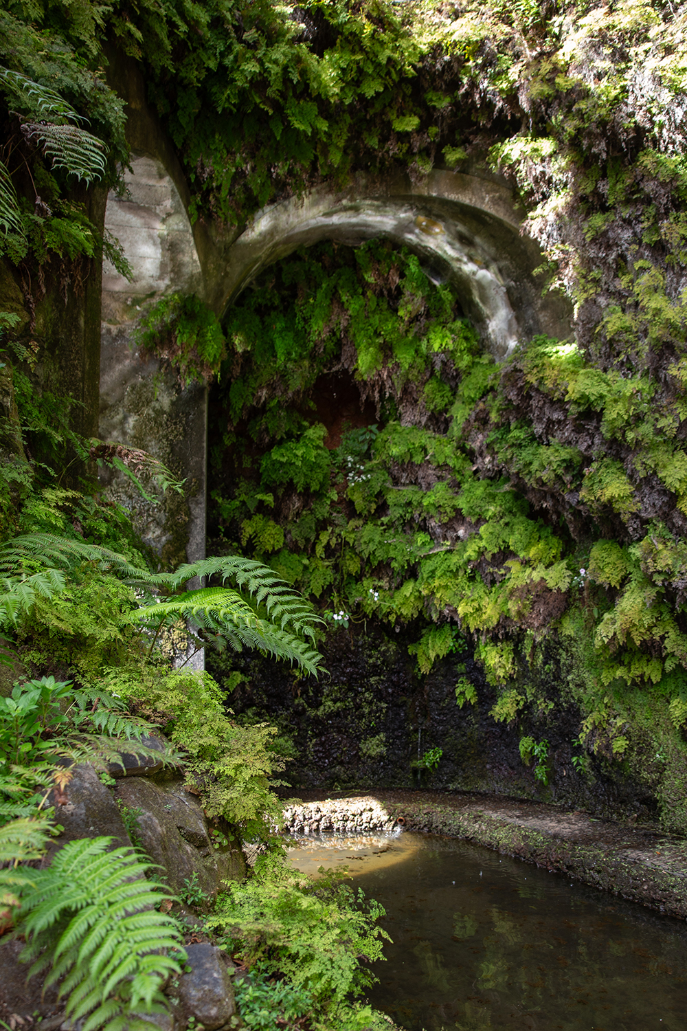 Madeira - Monte Palace Tropical Garden - paperboat.fr
