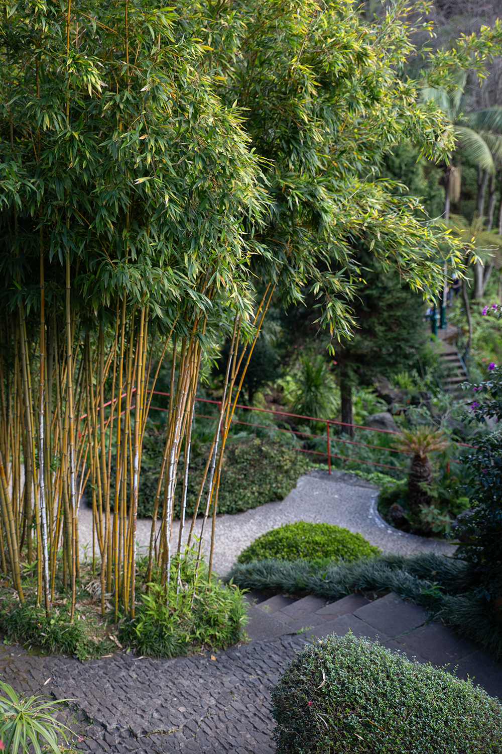 Madeira - Monte Palace Tropical Garden - paperboat.fr
