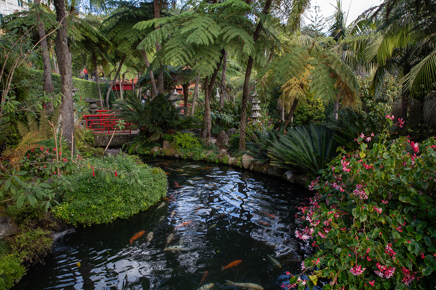 Madeira - Monte Palace Tropical Garden - paperboat.fr