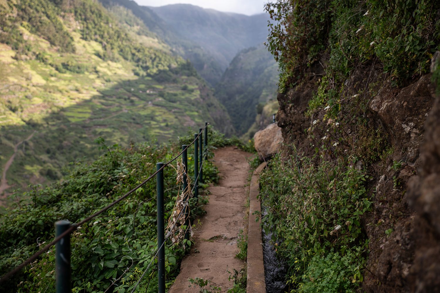 Madeira - randonnée - Levada do Moinho