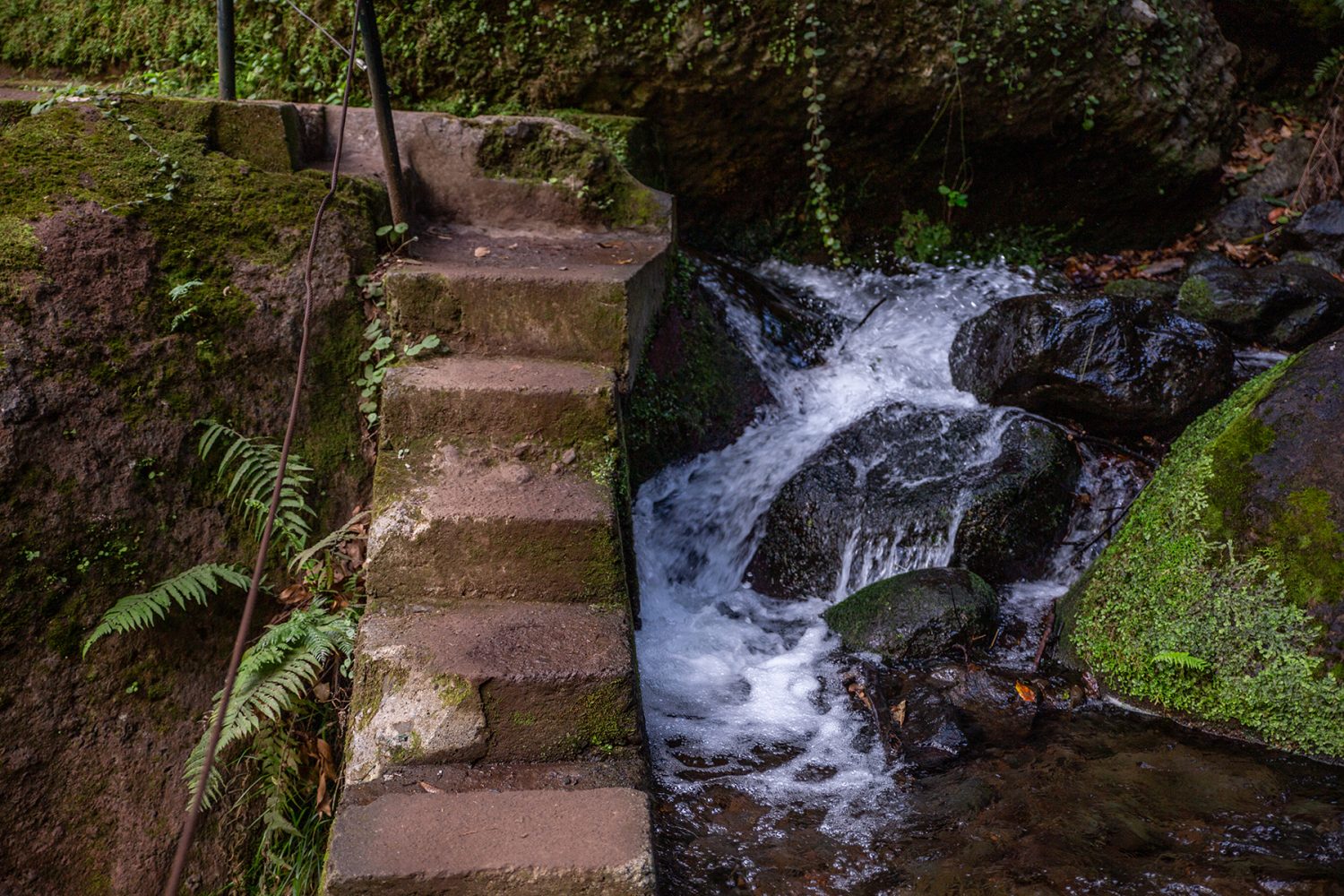Madeira - randonnée - Levada do Moinho