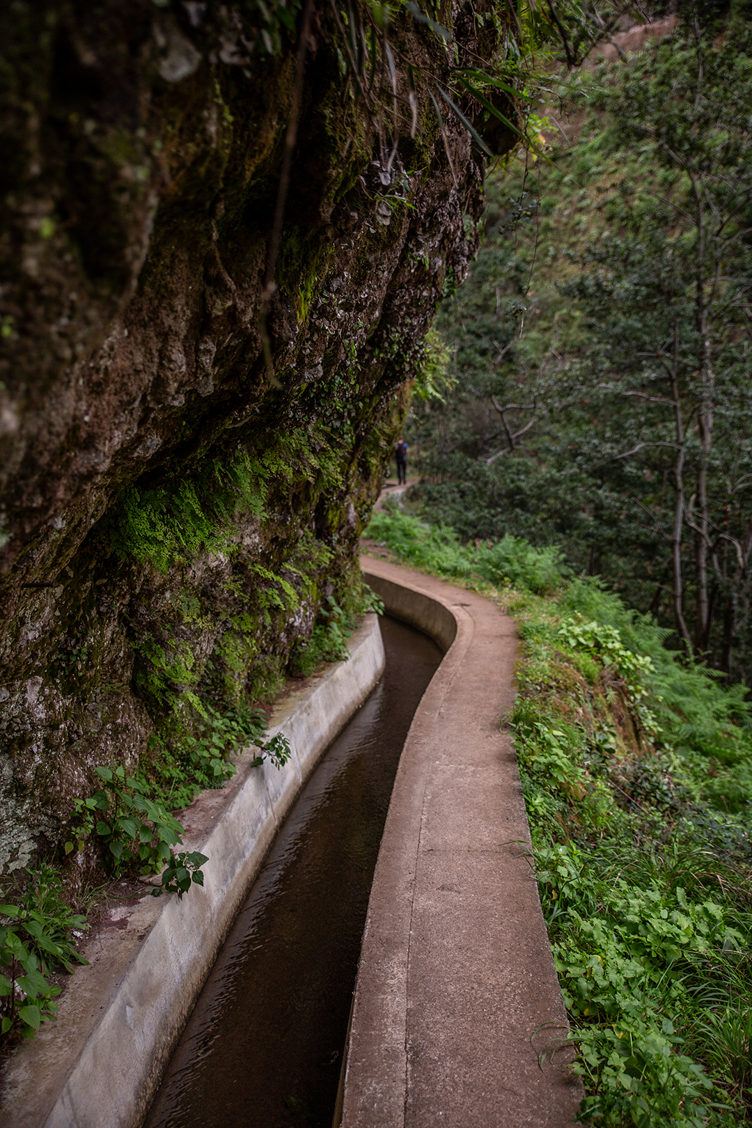 Madeira - randonnée - Levada do Moinho