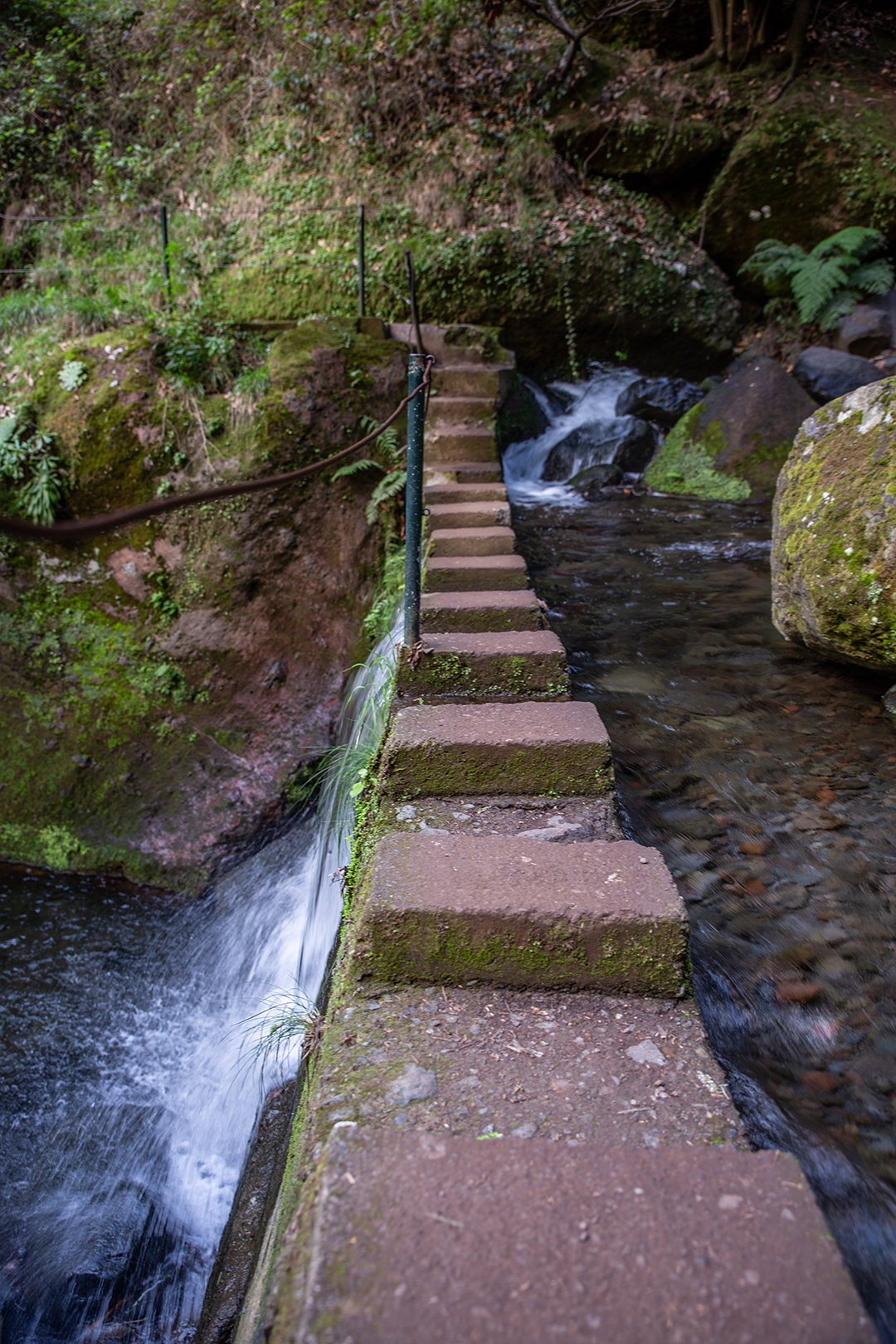 Madeira - randonnée - Levada do Moinho