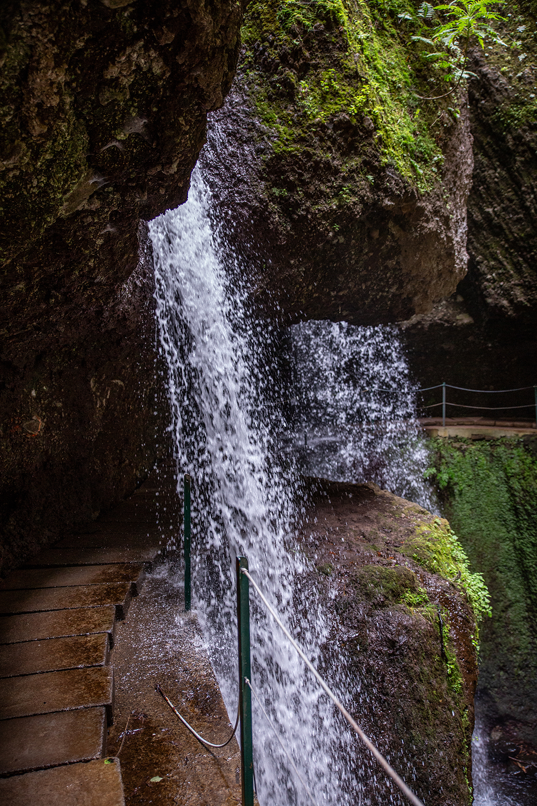 Madeira - randonnée - Levada do Moinho