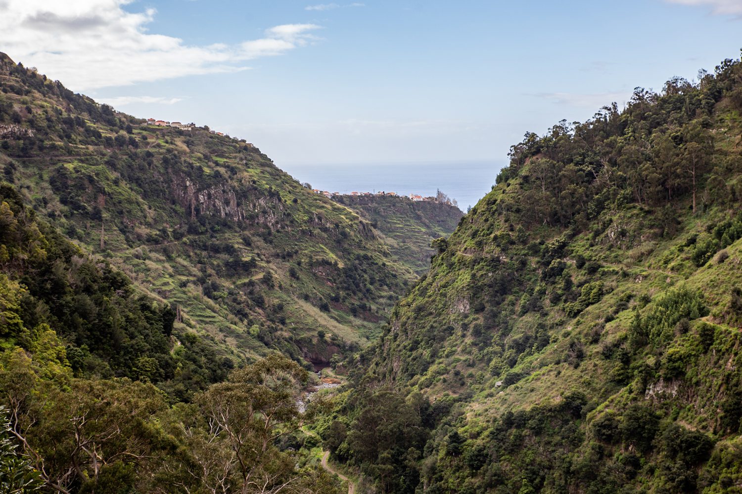 Madeira - randonnée - Levada do Moinho