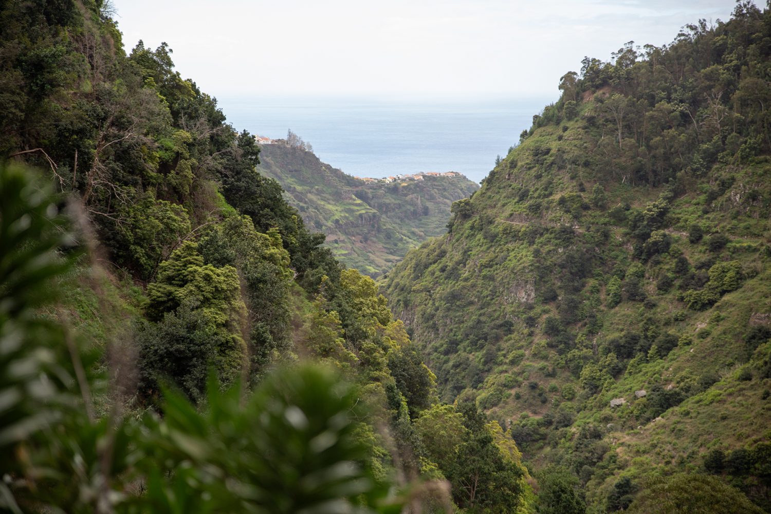 Madeira - randonnée - Levada do Moinho