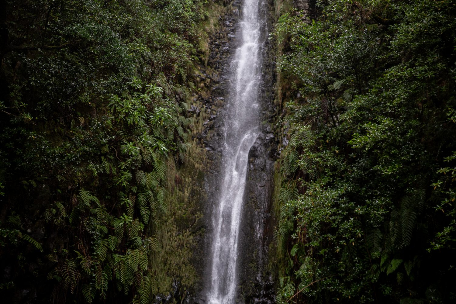 Madeira - Randonnée Levada 25 fontes & levada Risco