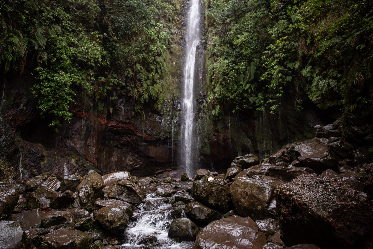 Madeira - Randonnée Levada 25 fontes & levada Risco