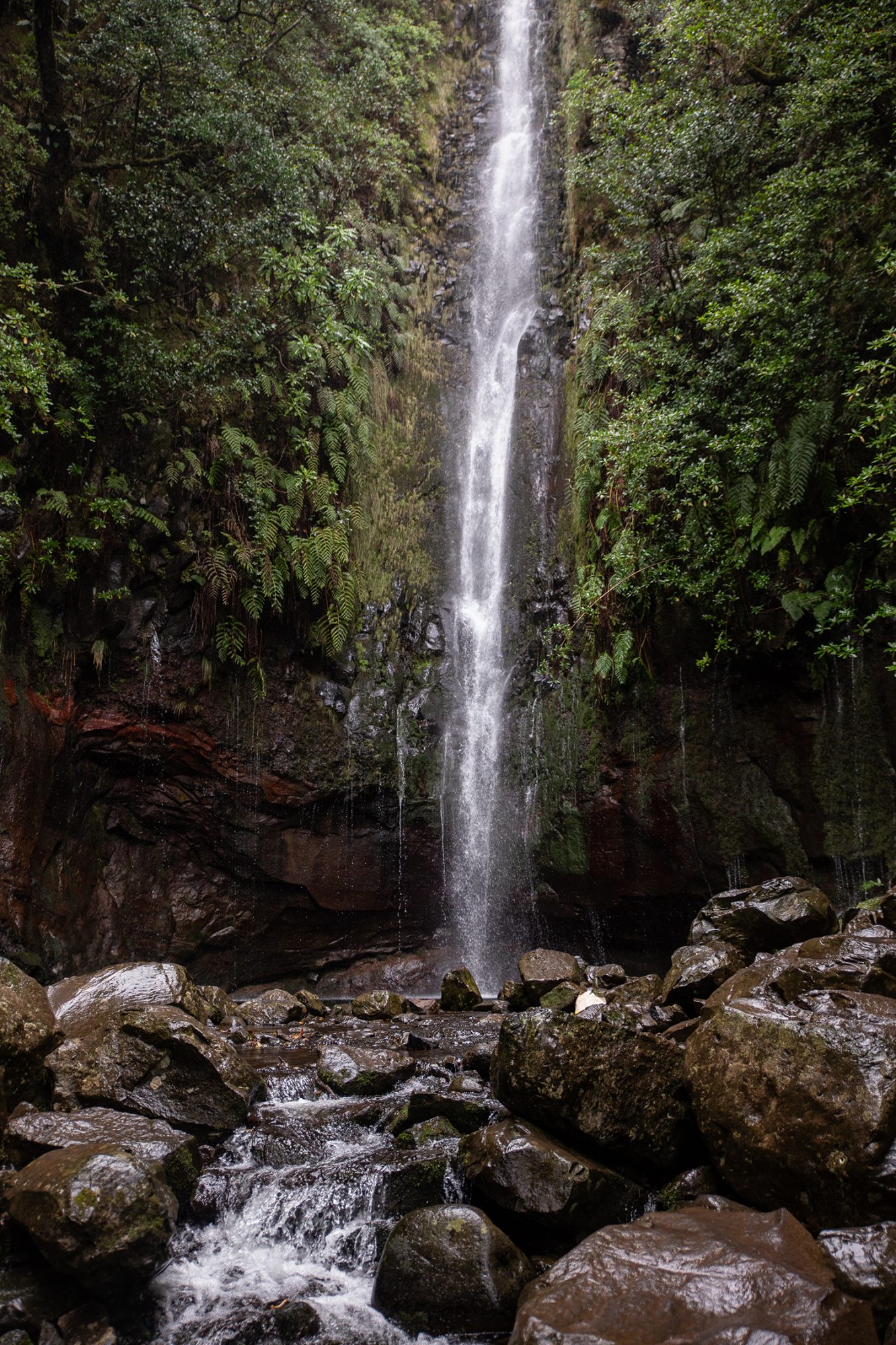Madeira - Randonnée Levada 25 fontes & levada Risco