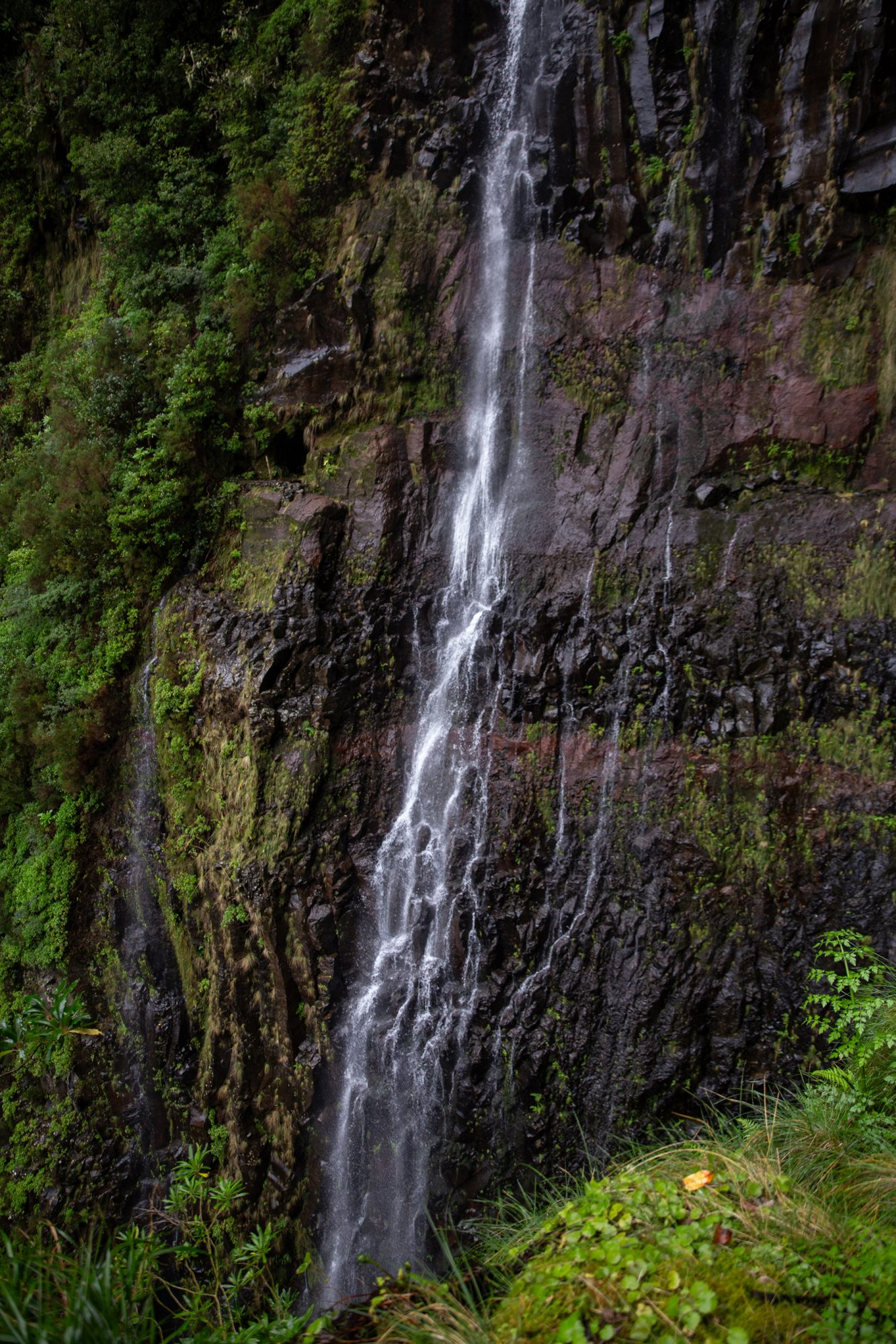 Madeira - Randonnée Levada 25 fontes & levada Risco
