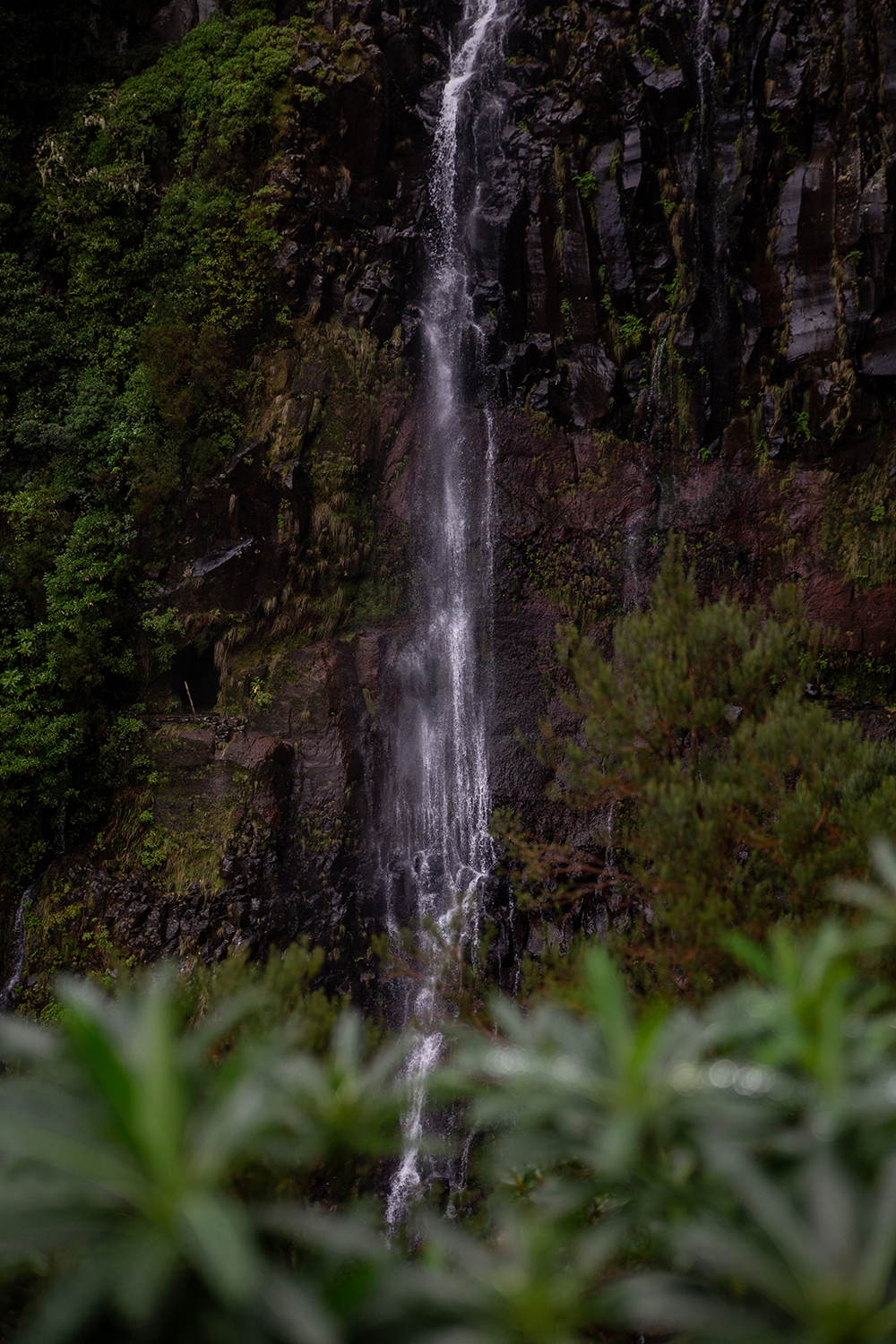 Madeira - Randonnée Levada 25 fontes & levada Risco