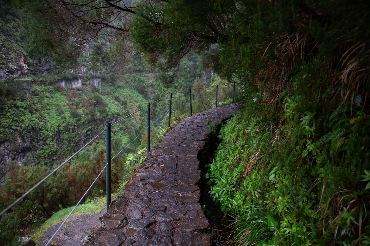Madeira - Randonnée Levada 25 fontes & levada Risco