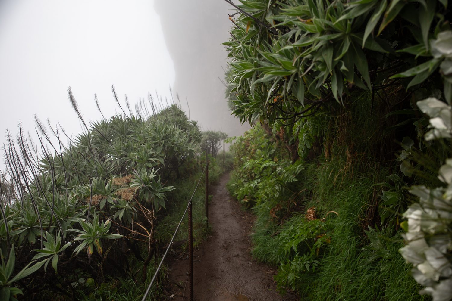 Madeira - randonnée - Verada de Areeiro - Pico Ruivo