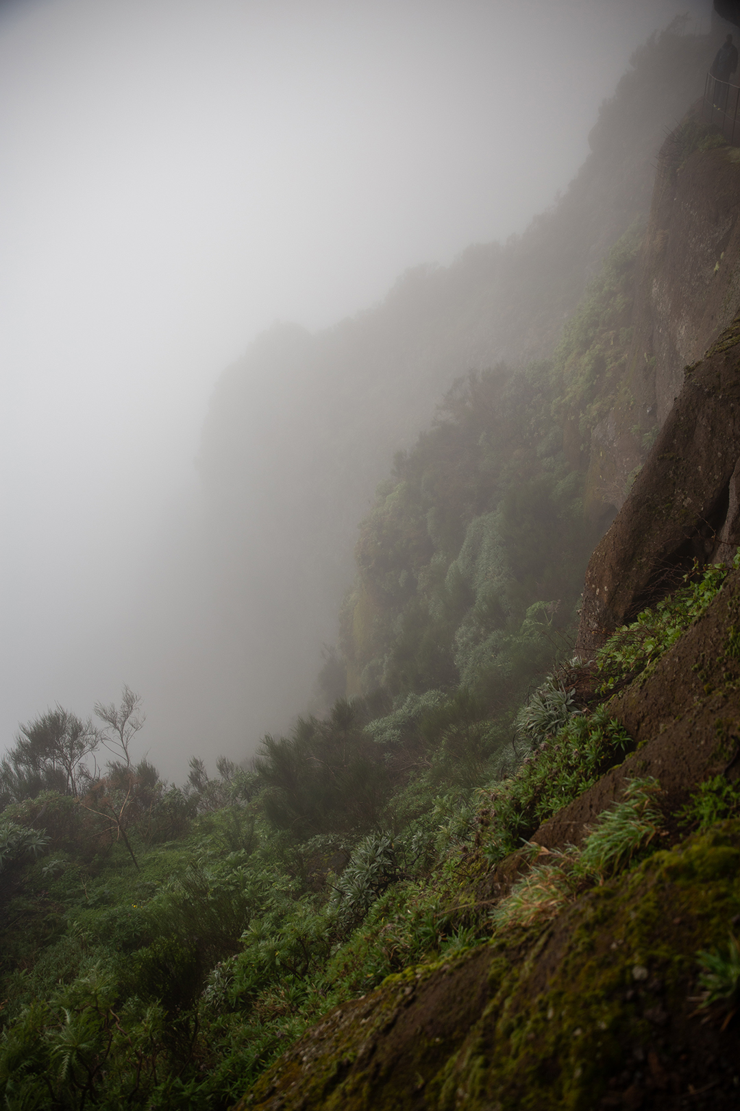 Madeira - randonnée - Verada de Areeiro - Pico Ruivo