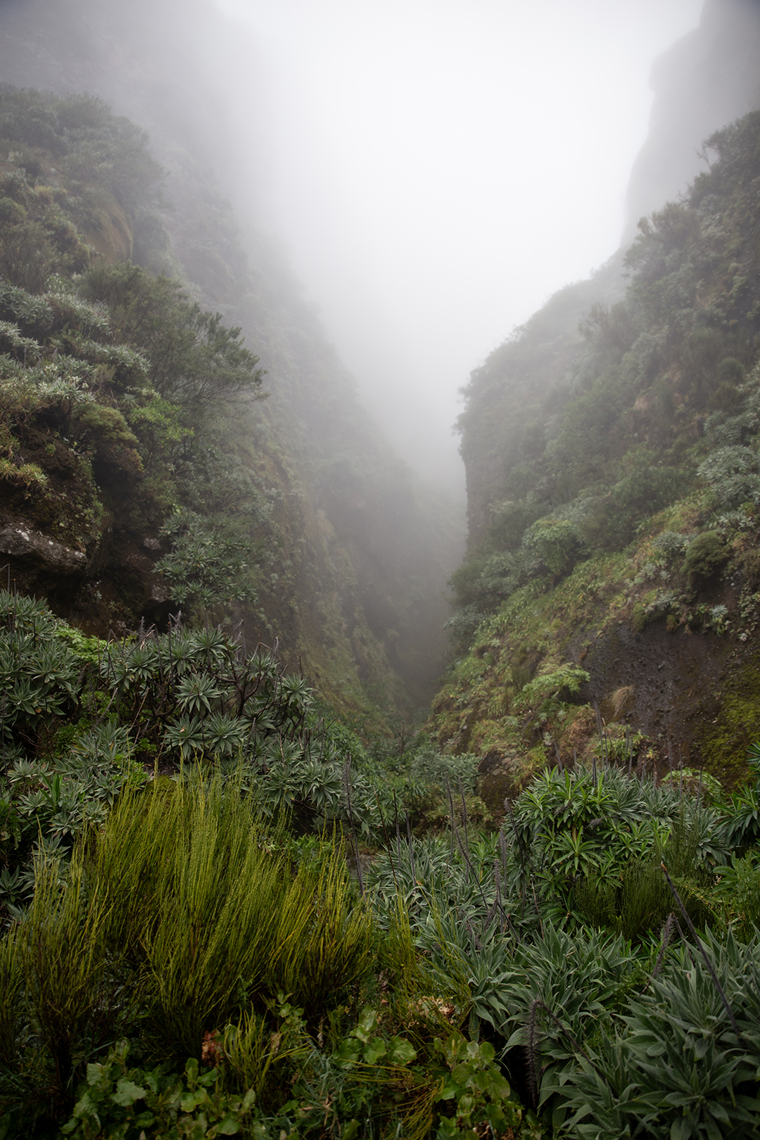 Madeira - randonnée - Verada de Areeiro - Pico Ruivo