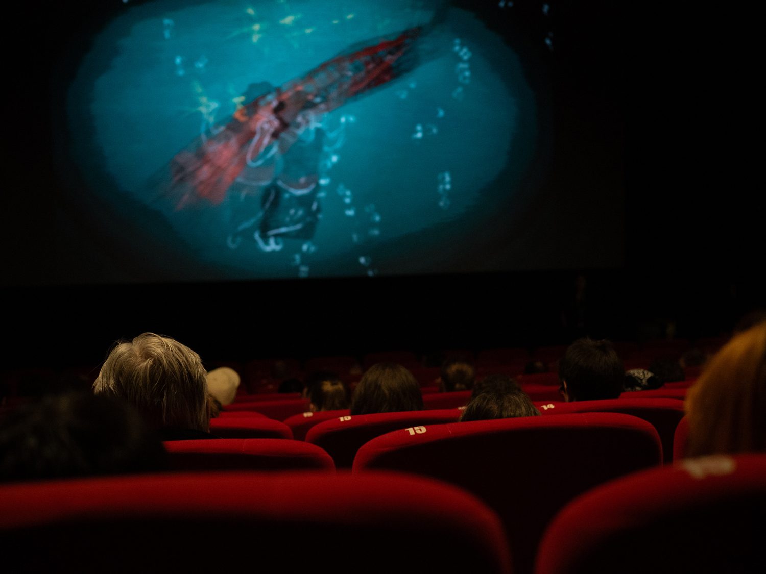 Annecy festival 2024 - www.paperboat.fr
