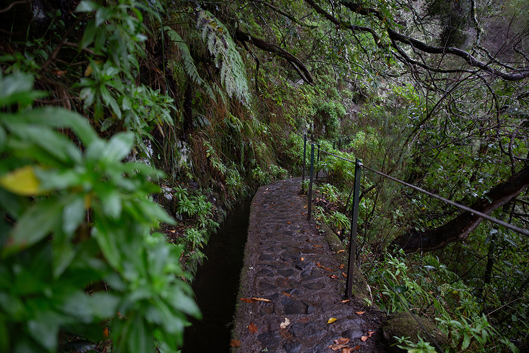 Madeira - randonnée - Levada Caldeirão Verde