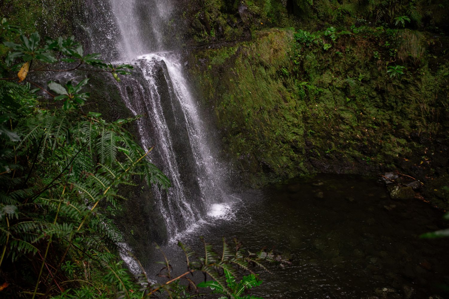 Madeira - randonnée - Levada Caldeirão Verde