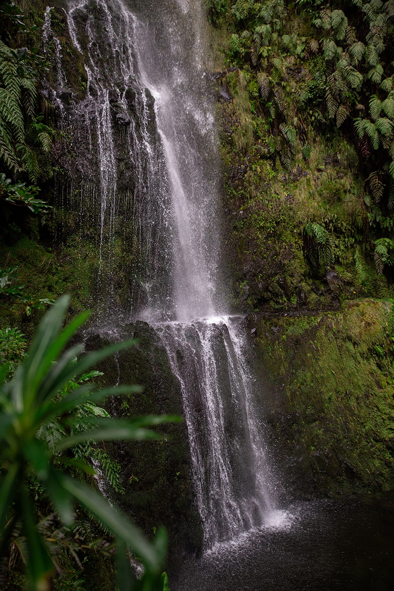 Madeira - randonnée - Levada Caldeirão Verde