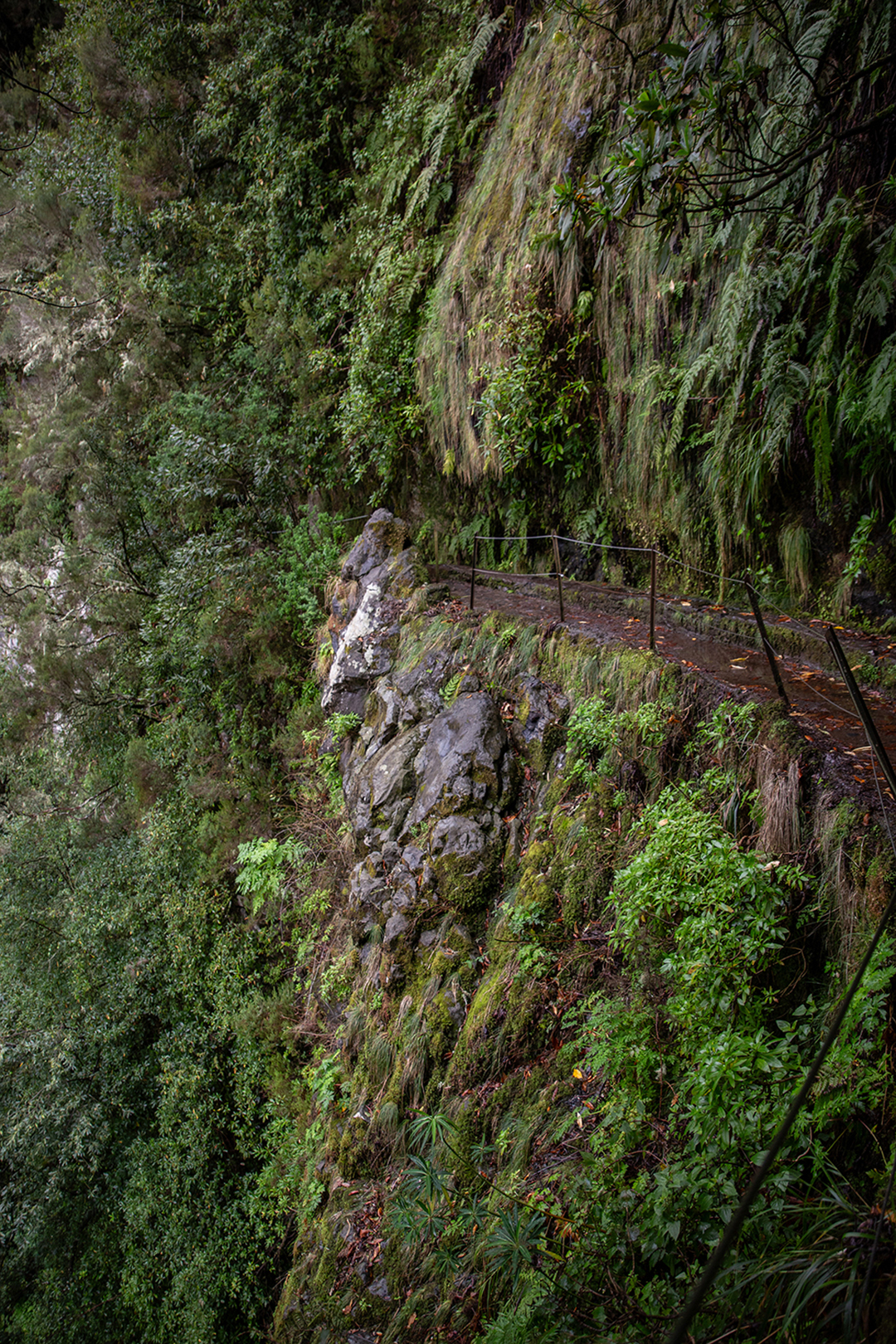 Madeira - randonnée - Levada Caldeirão Verde