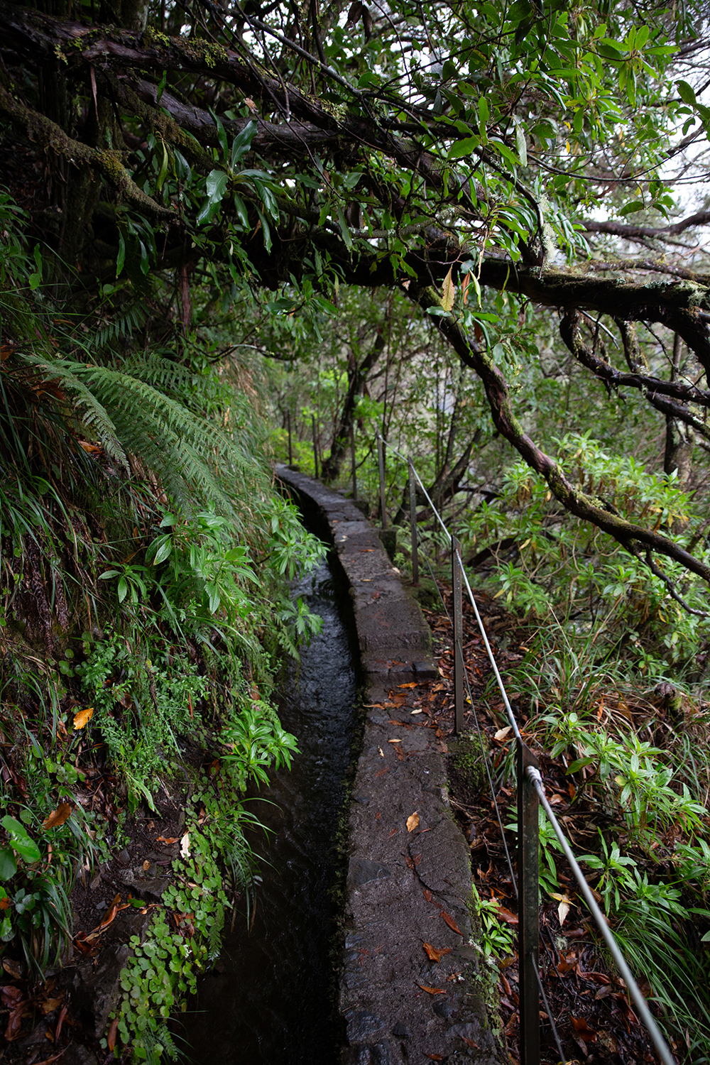 Madeira - randonnée - Levada Caldeirão Verde